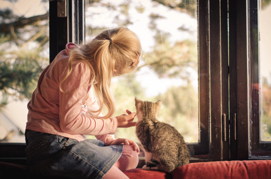 Living with Cats Does Not Worsen Asthma in Children, Suggests Clinical Study in Sweden