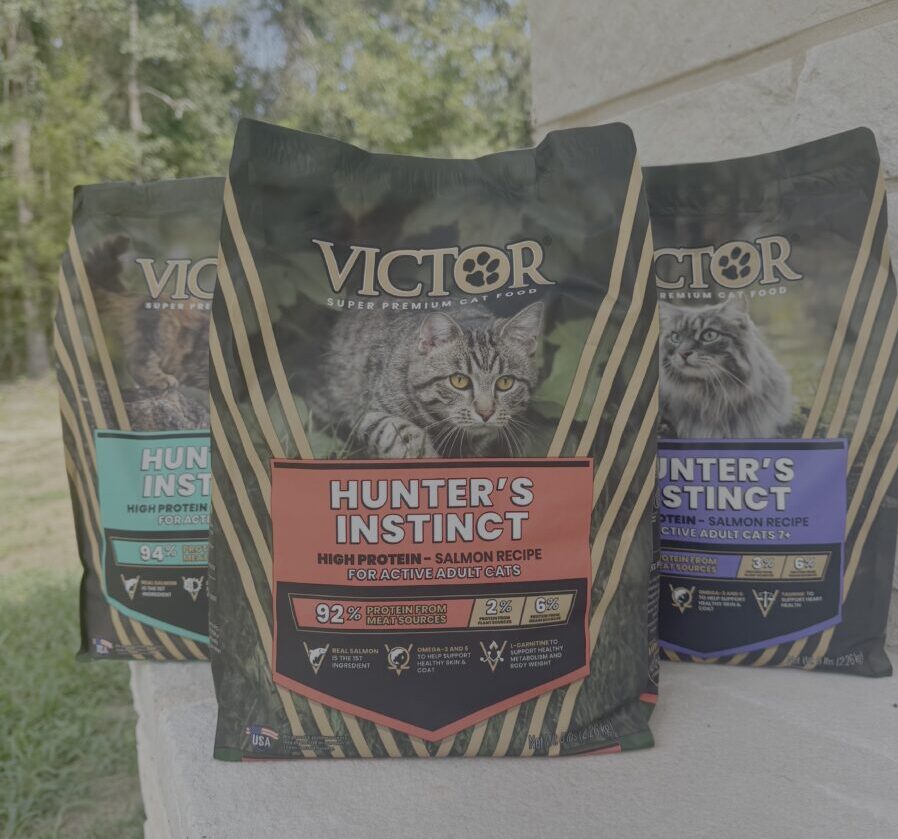 VICTOR Introduces Hunter ’ s Instinct High Protein Nutrition for Active and Outdoor Cats