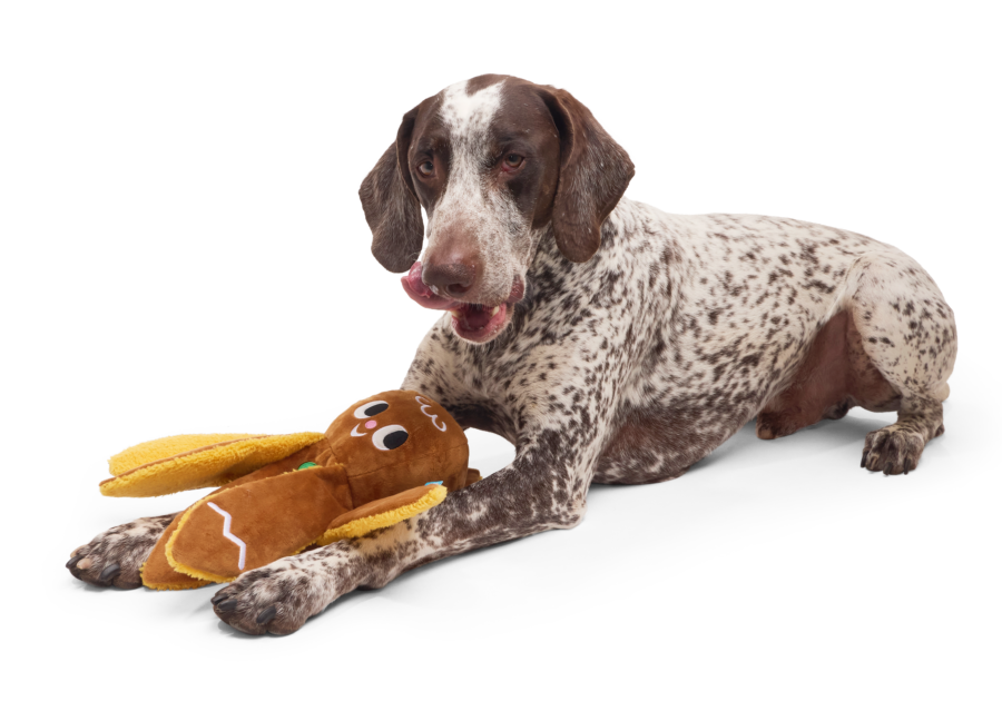 Designing the Holiday Dog Gift That Delivers Joy for Both Ends of the Pet Leash