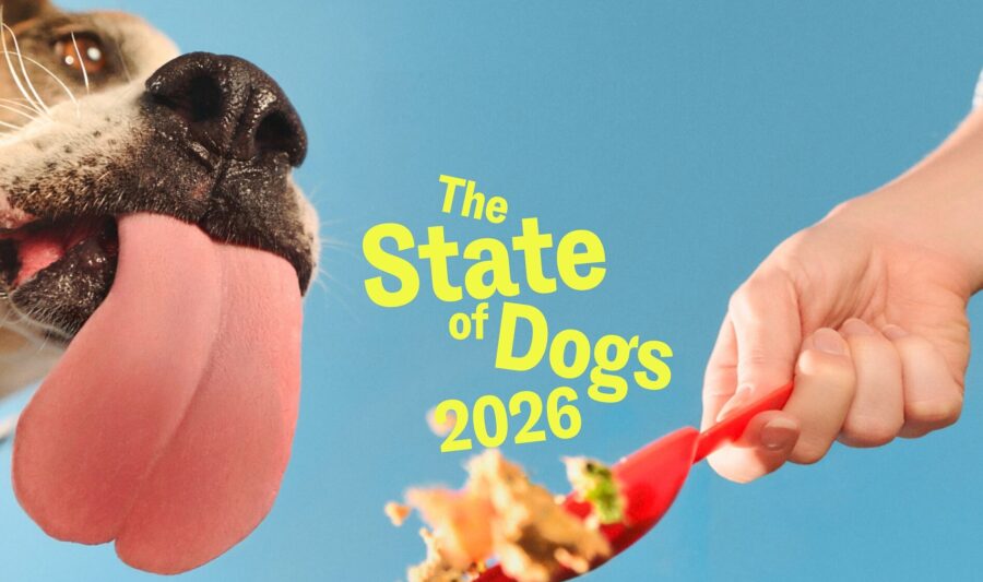 Ollie’s State of Dogs 2026 Reveals America’s Dogs are Healthier Than They Were 1 Year Ago